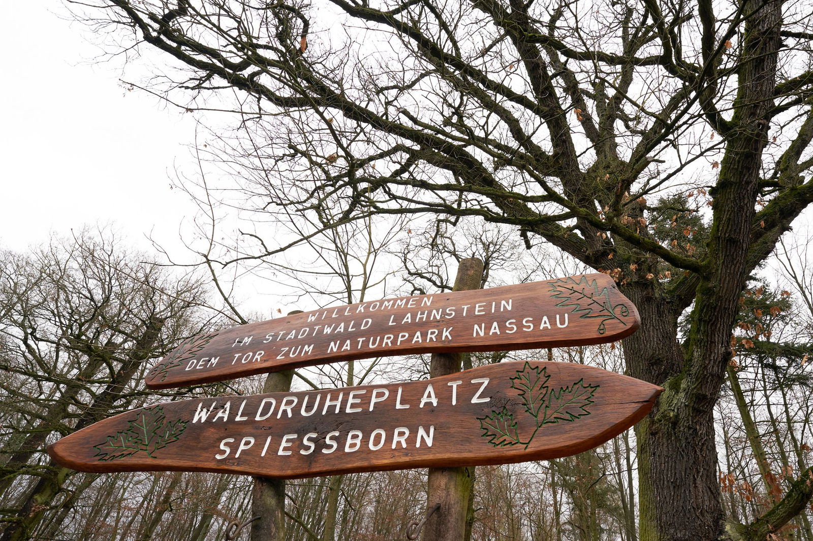 Nachdem der Kinderheilwald bereits vor zwei Jahren an den Start gegangen ist, konnte nun auch der Kur- und Heilwald für Erwachsene fertiggestellt werden. (Archivbild)