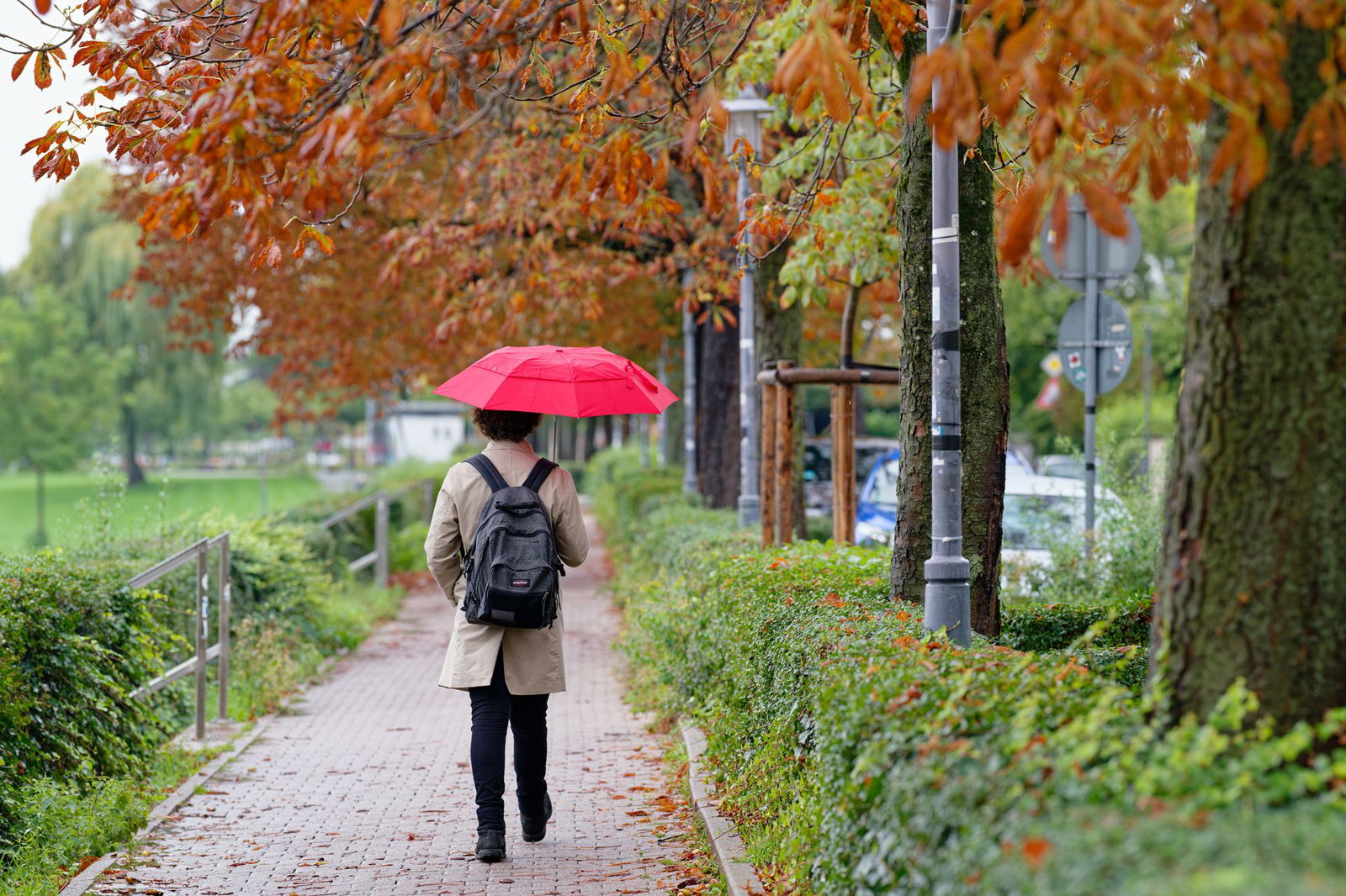 Auch am Freitag bleibt der Regenschirm im Südwesten ein wichtiges Accessoire. (Archivbild)