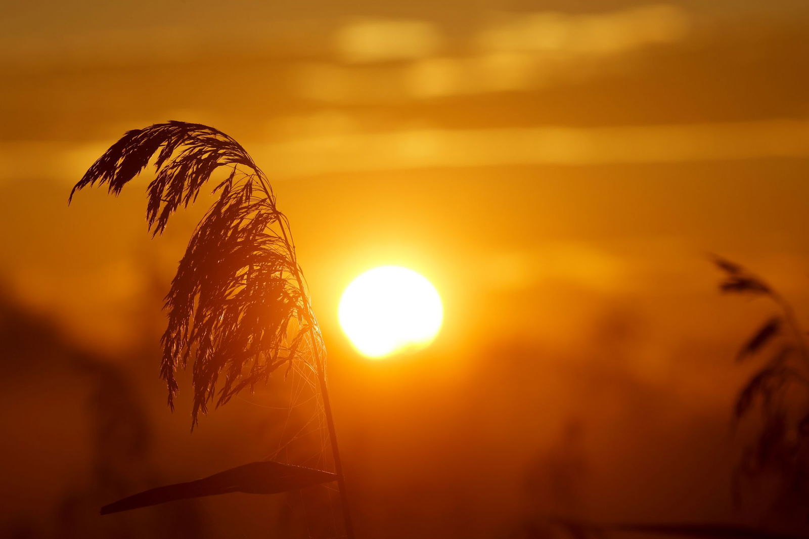 Am Sonntag lädt das Wetter zu einem Herbstspaziergang in der Sonne ein. (Archivbild)