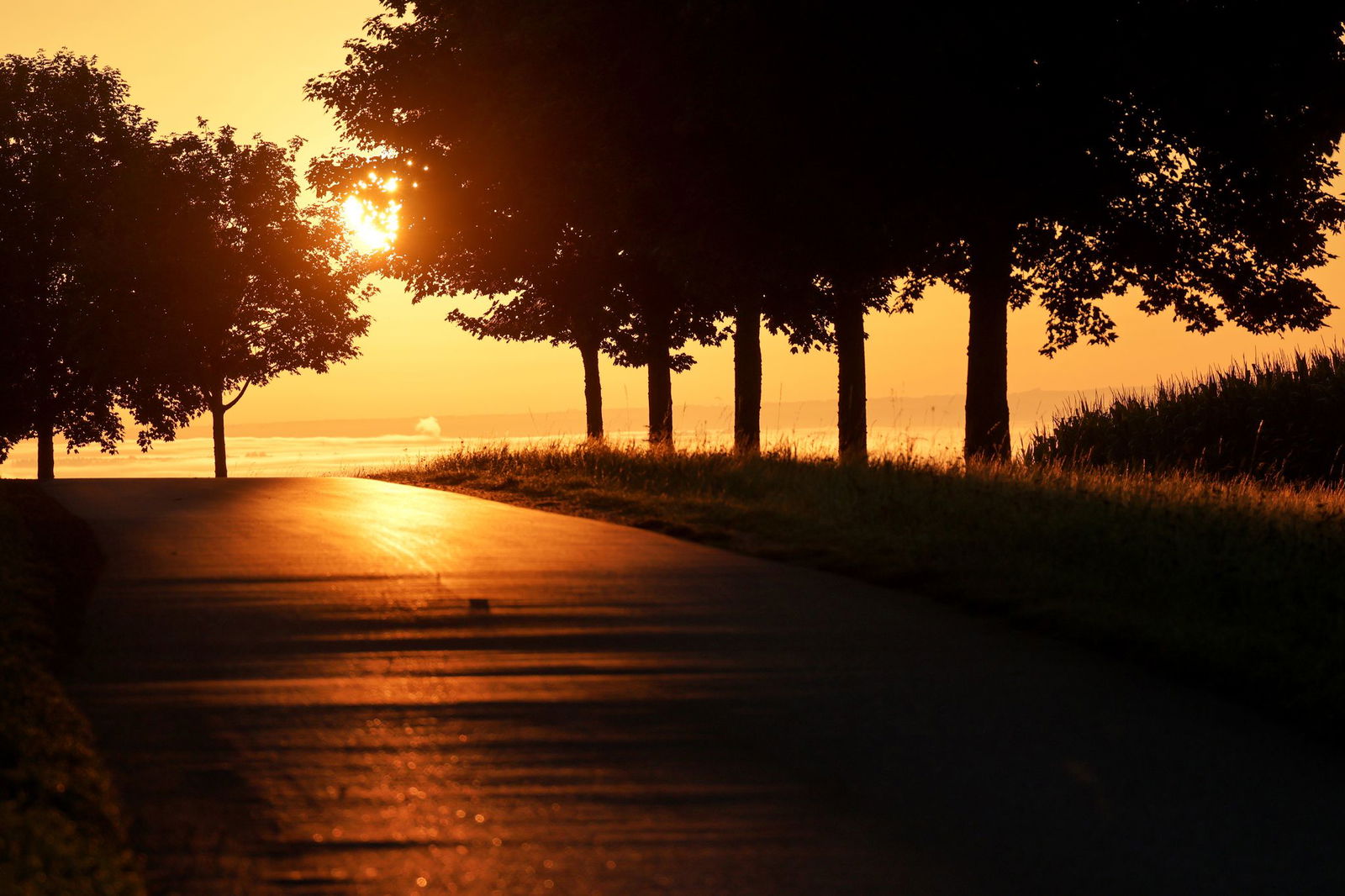 DWD-Prognose: Sonne und kein Regen in Baden-Württemberg. (Archivbild)