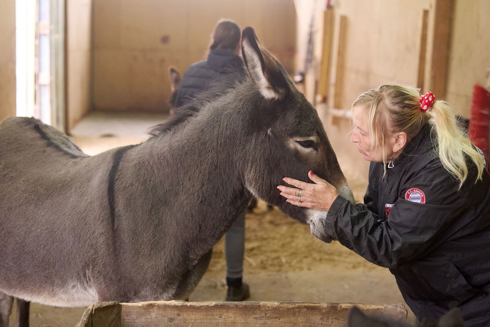 Ein paar Minuten im Stall und bei Brigitte Dreiser sind alle Sorgen vergessen.