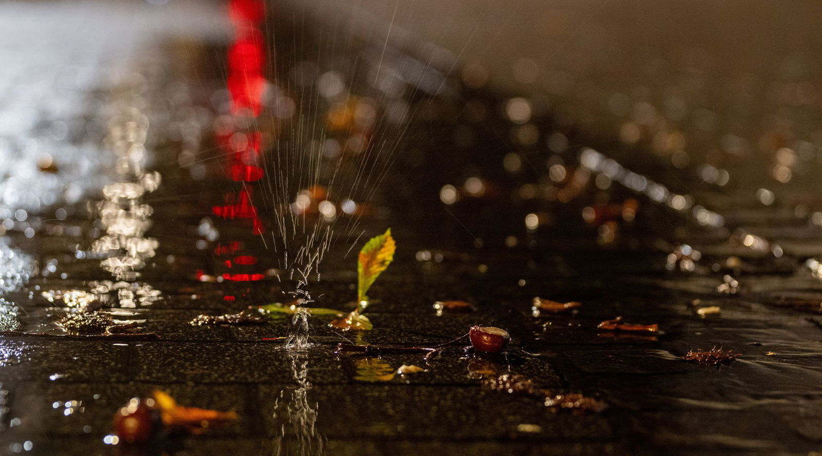Das nass-kalte Herbstwetter setzt sich zu Wochenbeginn fort. (Archivbild)