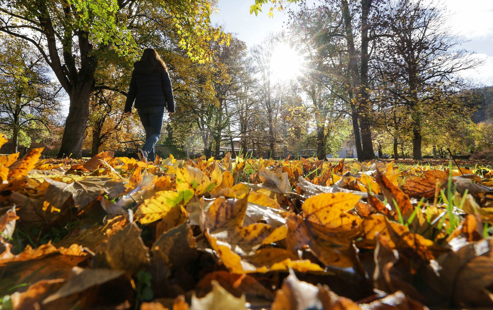 Herbstchaos am Dienstag: Erst Regen, dann Sonne.