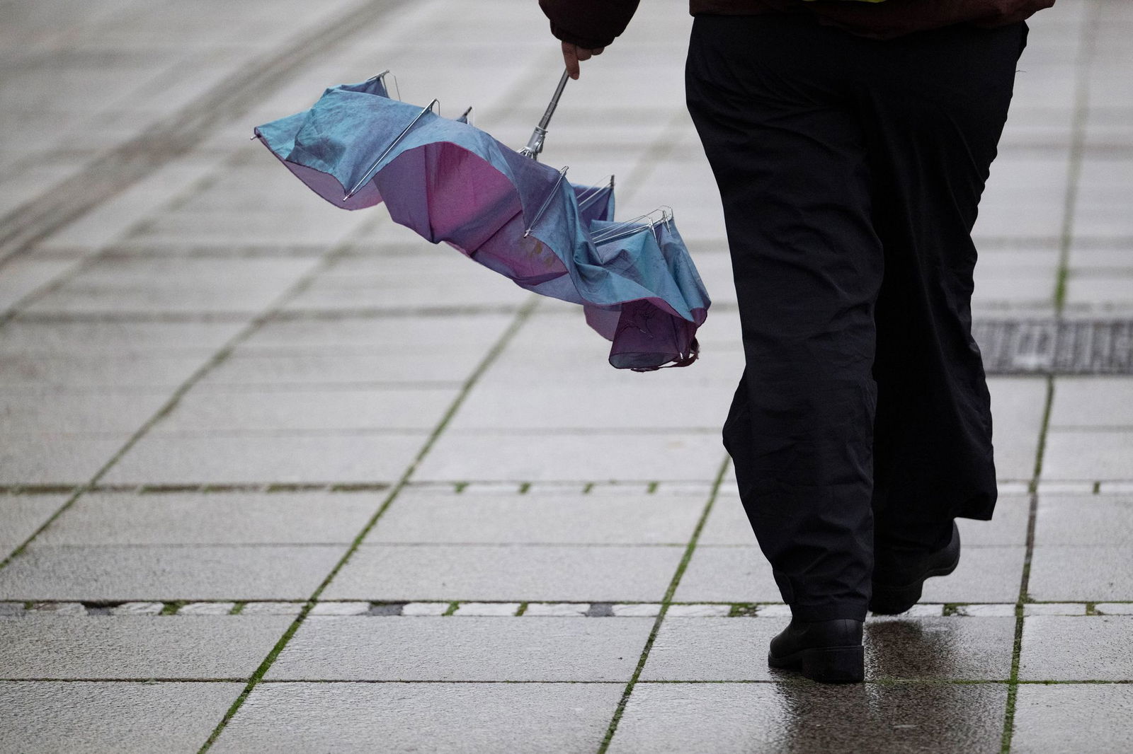 Wer nicht nass werden will, braucht eventuell einen Regenschirm. (Symbolbild)
