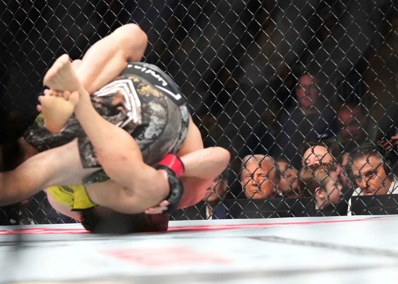 Nicht selten wird einer der UFC-Kämpfer im Ring bewusstlos geprügelt.