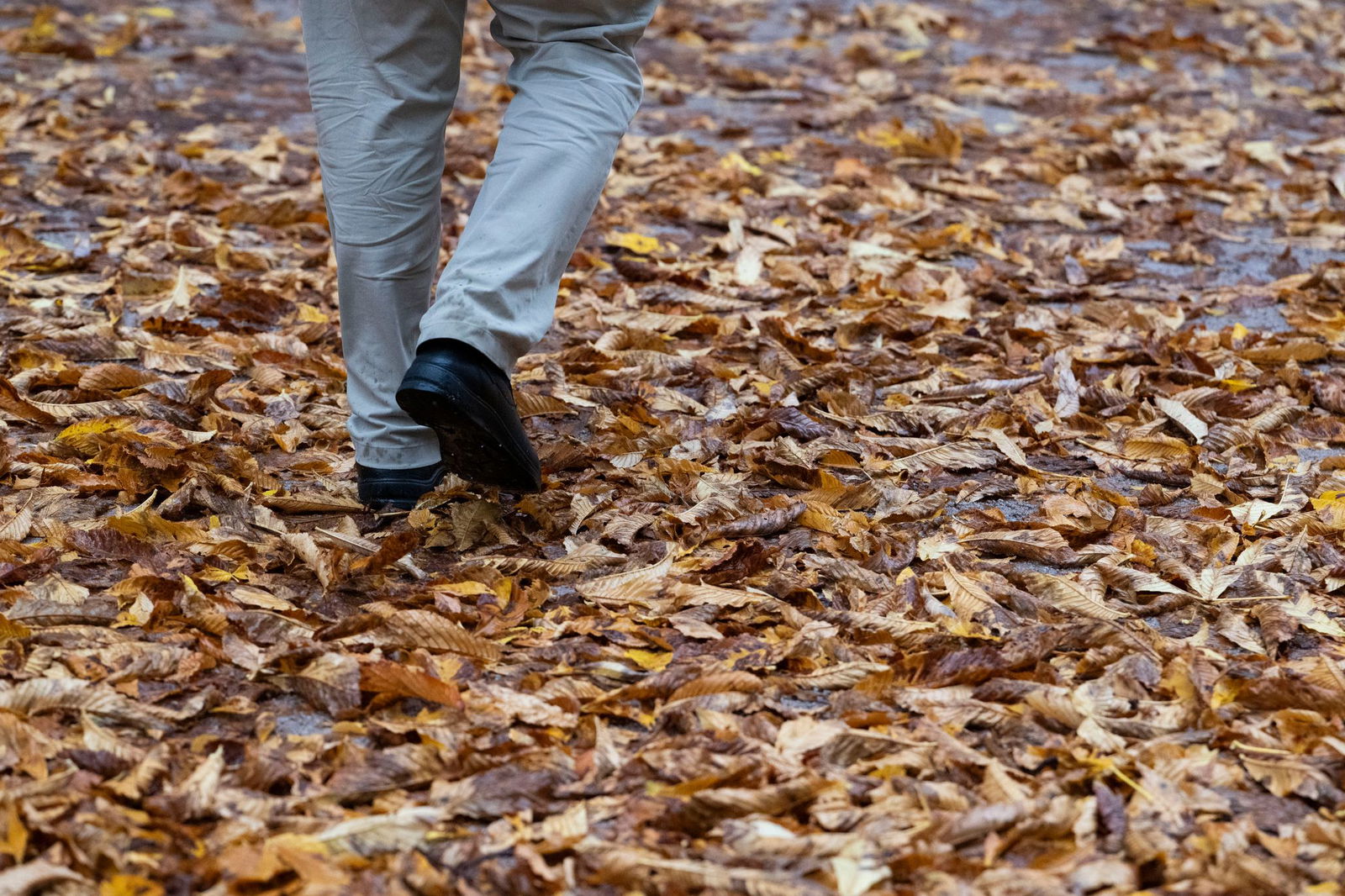 Zu nass und zu trüb war der Oktober im Südwesten, so die Bilanz des Deutschen Wetterdienstes. (Archivbild)