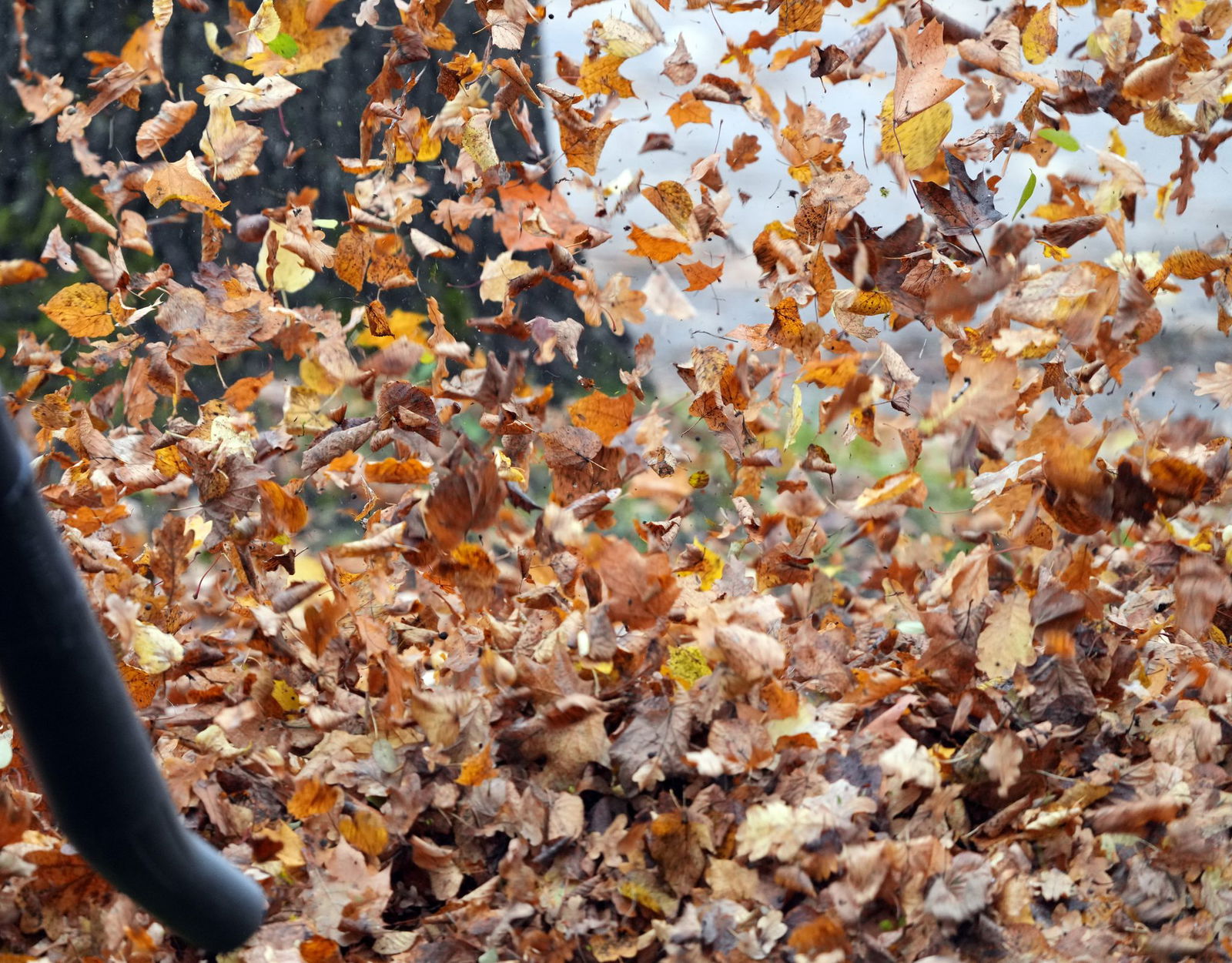 Für den Einsatz für Laubbläser gibt es Regeln. (Symbolbild)