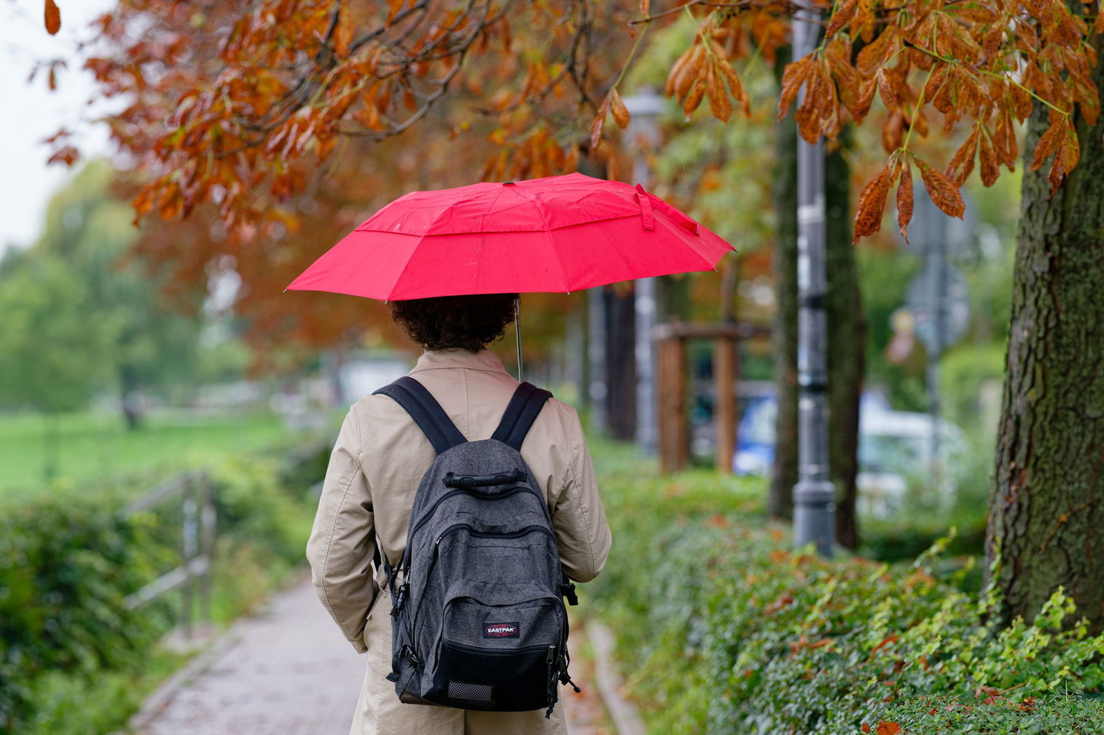 Am Wochenende könnte es von Vorteil sein, einen Schirm parat zu haben. (Symbolbild)