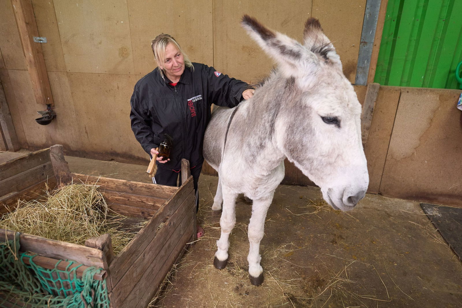 Esel sind auch Arbeit – Bolle möchte gepflegt werden.