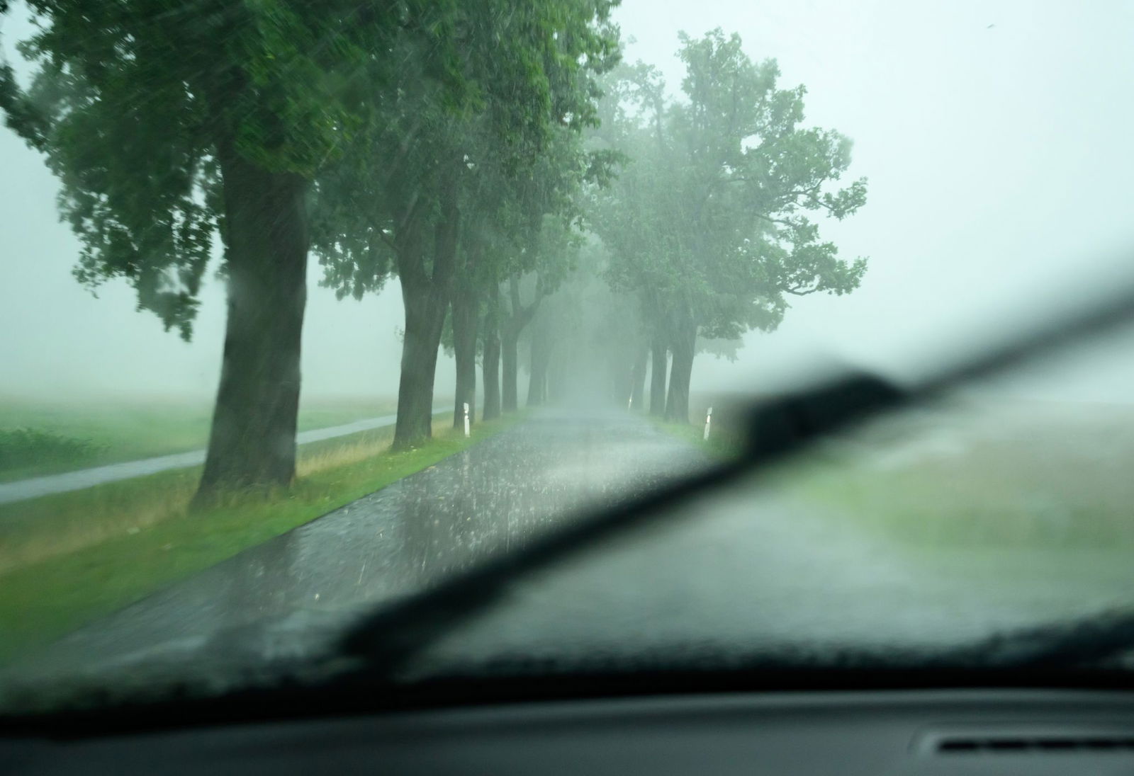Am Freitag und am Samstag erwartet der DWD erneut starke bis stürmische Böen. (Symbolbild)