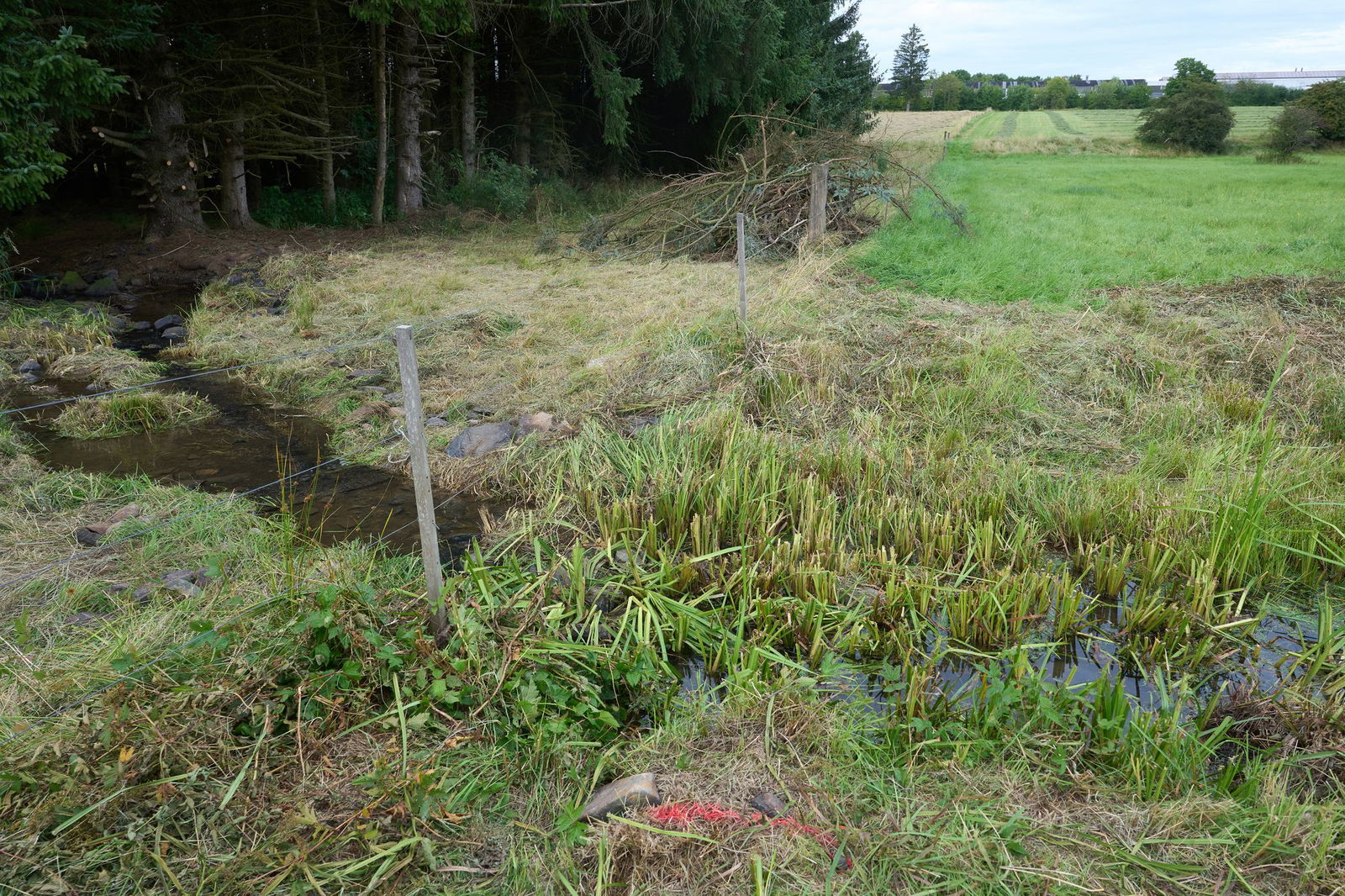 Hier wurde die Leiche des Mörders gefunden. (Archivbild)