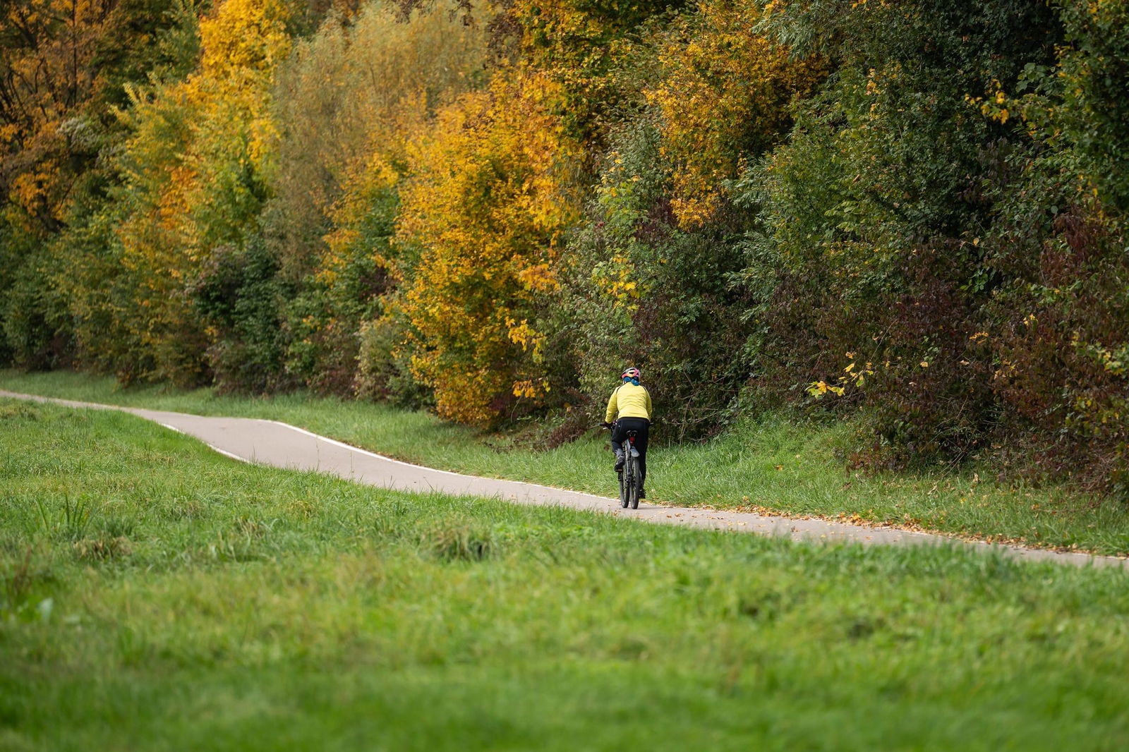 Falls sich die Sonne durchsetzt, werden im Südwesten milde Temperaturen erwartet. (Archivbild)