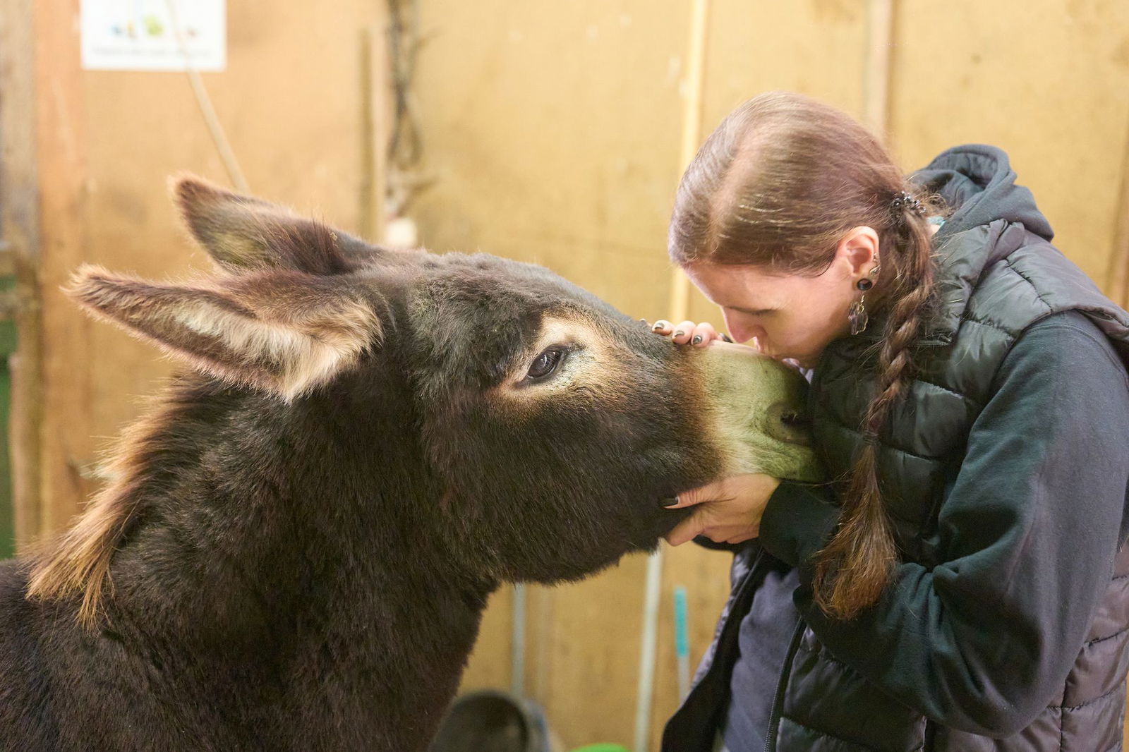Sie war schon immer ein Eselmensch, sagt Denise Rohweder. 