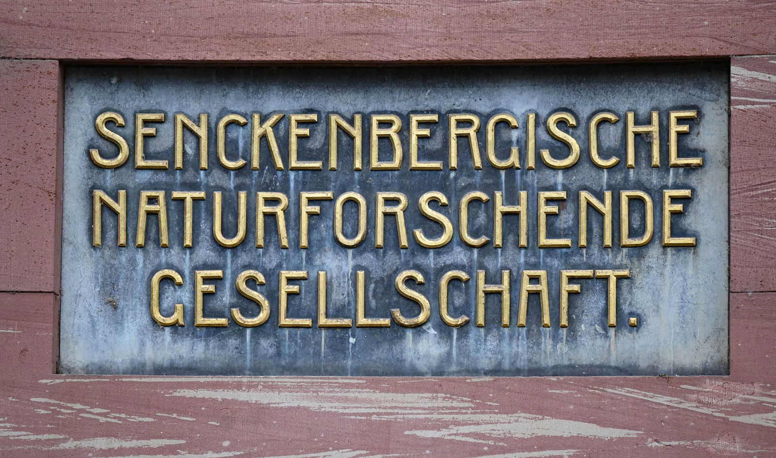 Wie auch die Schöninger Speere soll die DNA rund 300.000 Jahre alt sein. (Symbolbild)