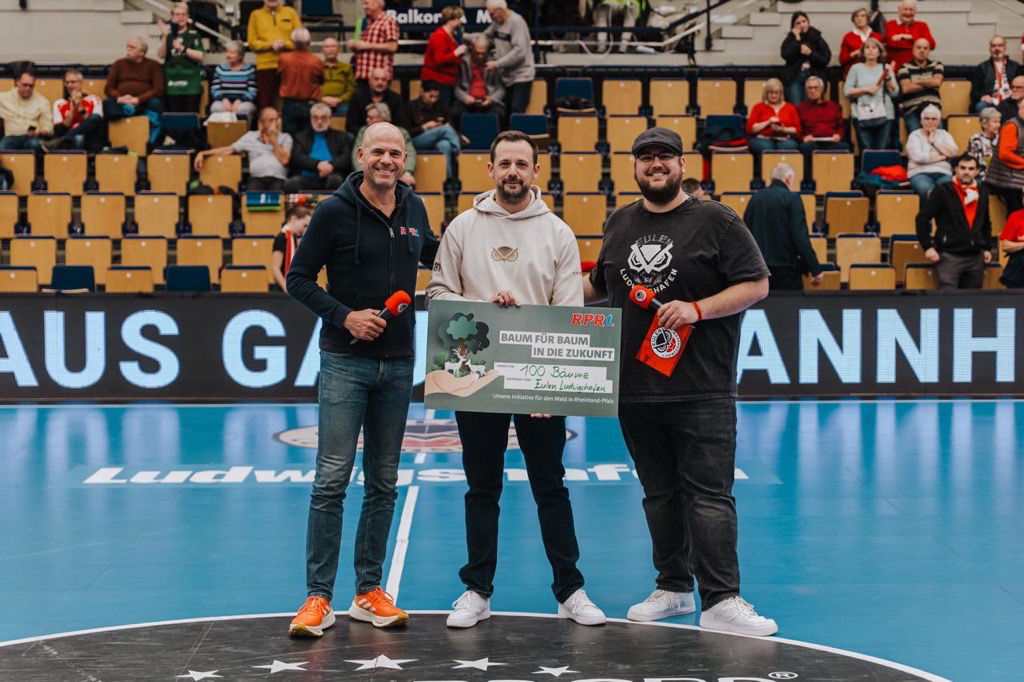 Baum für Baum Eulen