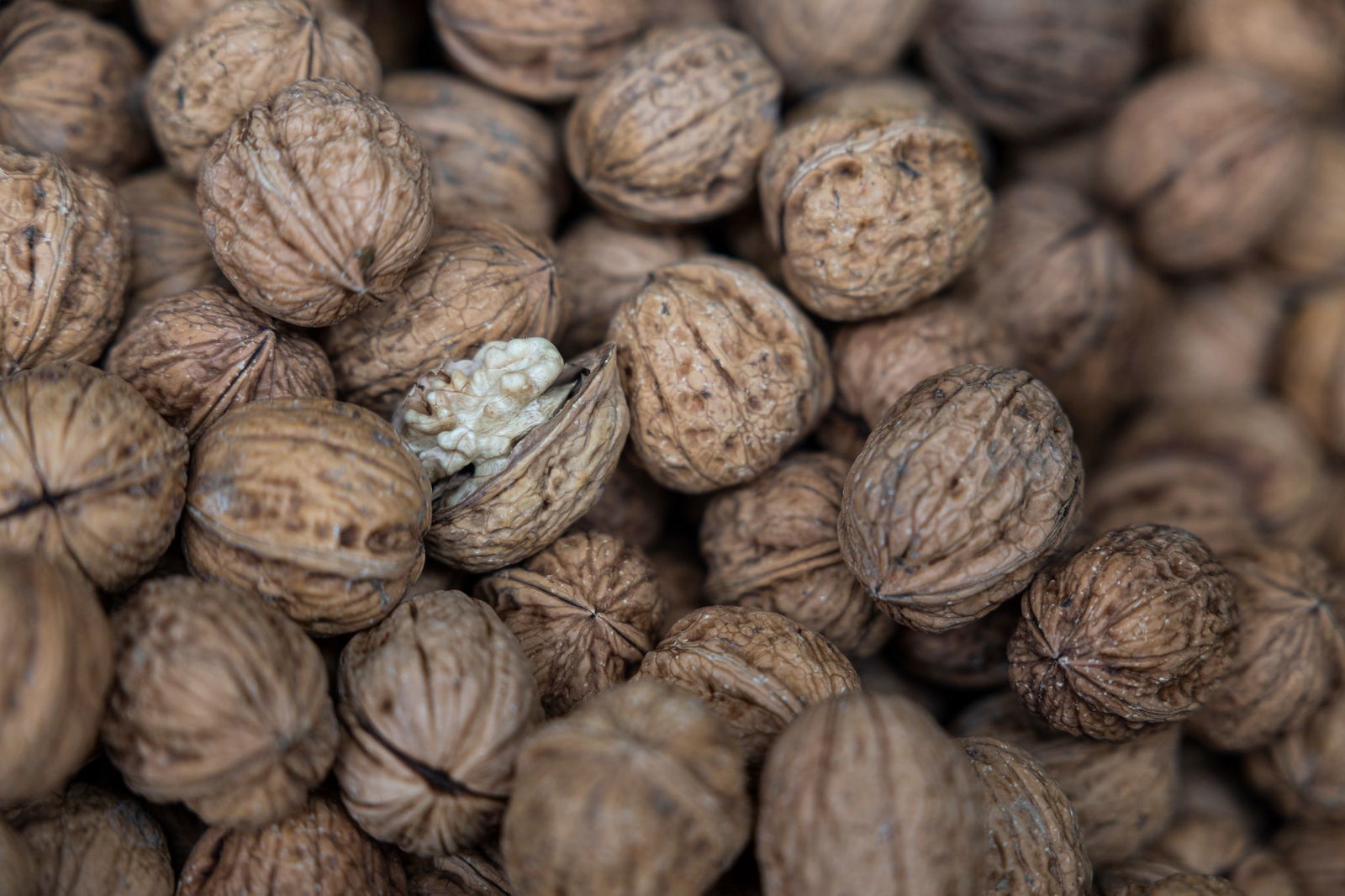 Walnüsse werden häufiger auch in Rheinland-Pfalz angebaut. 