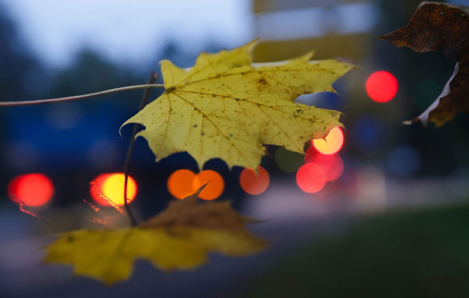 Es bleibt eher trüb in den kommenden Tagen, aber immerhin mild.(Archiv) 