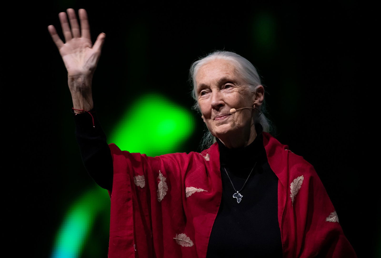 Der Tod der berühmten Schimpansenforscherin Jane Goodall hat weltweit Trauer ausgelöst. (Archivbild)