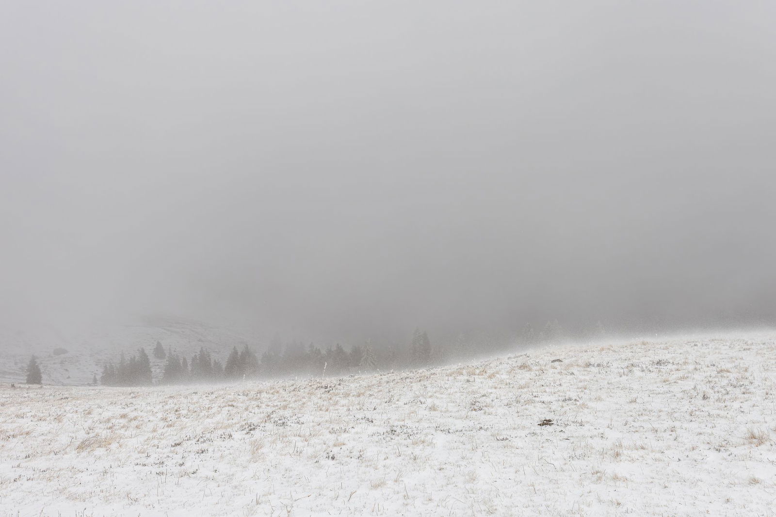 Auf dem Feldberg liegt Schnee.