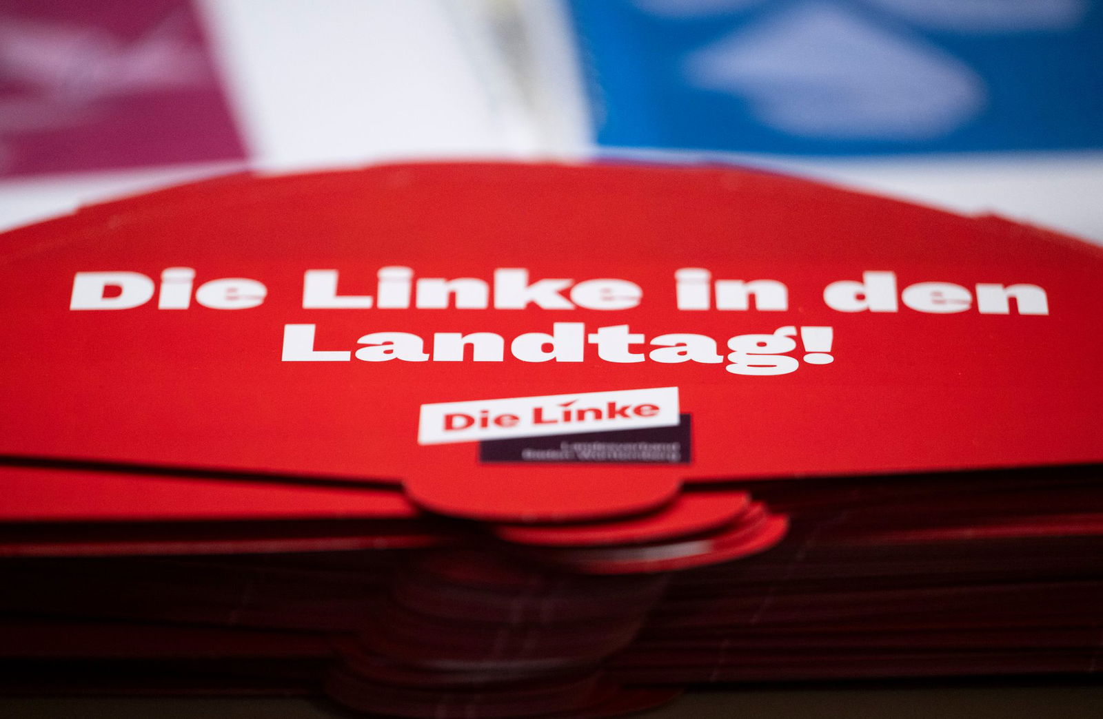 Ein konservatives Land brauche eine linke Kraft im Landtag, sagt die Partei.