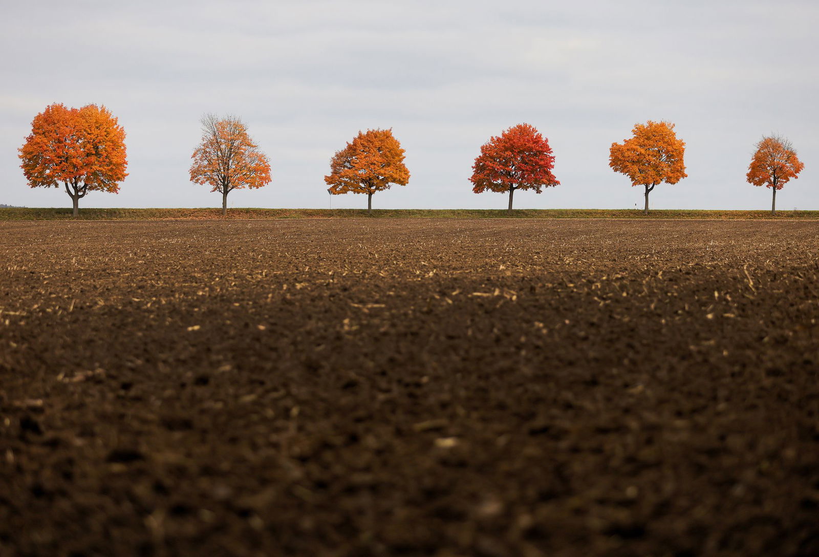 Zu Wochenbeginn bleibt es in Baden-Württemberg oft grau - zumindest am Himmel.