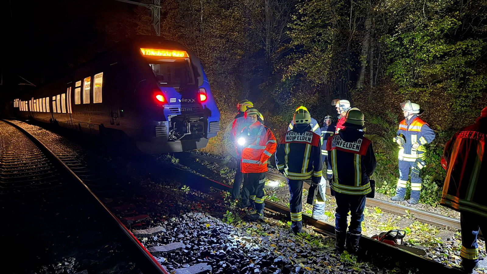 Feuerwehrleute räumen den Baum von den Gleisen. 