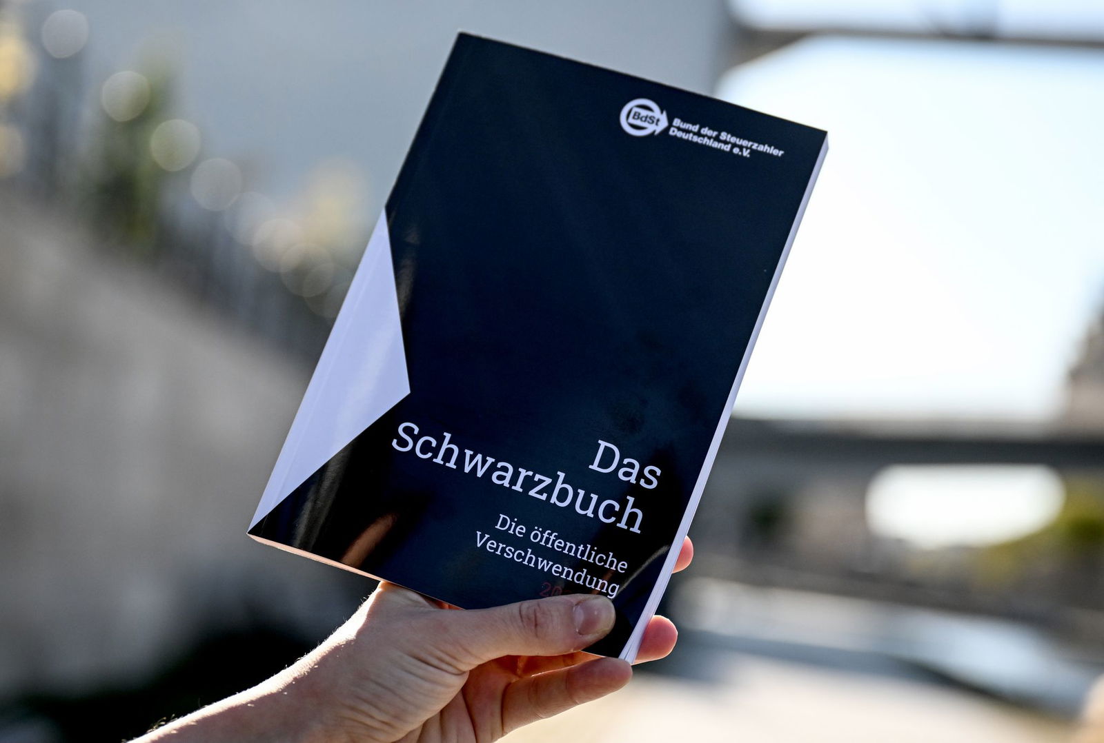 Fünf Fälle aus Rheinland-Pfalz sind im Schwarzbuch aufgeführt.