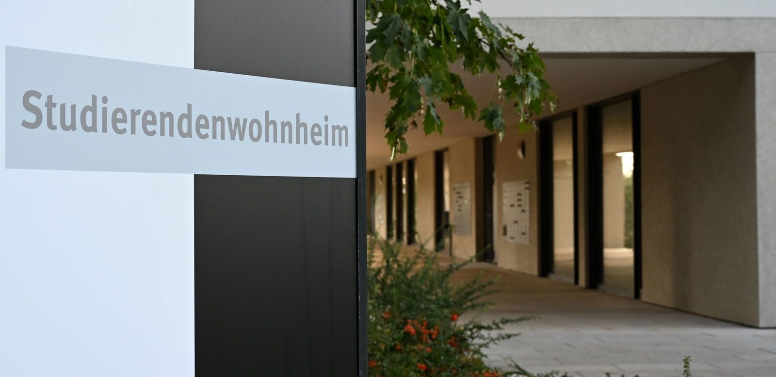 Die Studierendenwerke in Rheinland-Pfalz bieten mehr als 8.000 Plätze in ihren Wohnheimen.