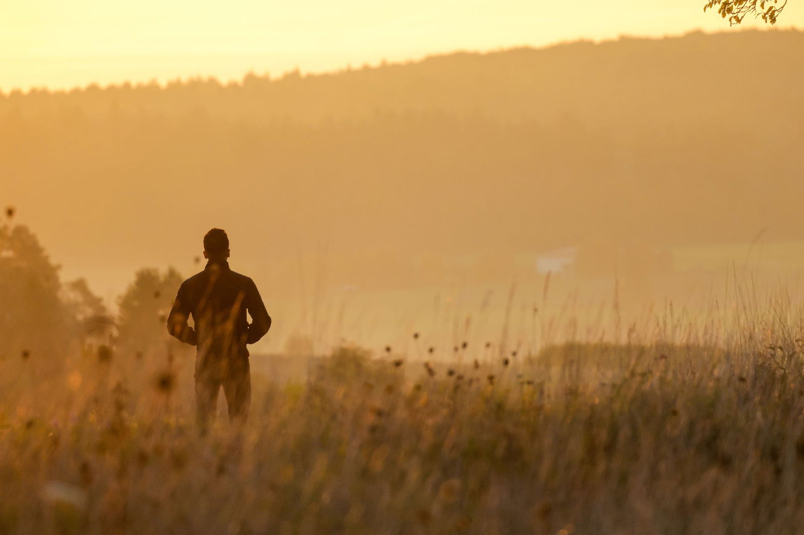Herbstnebel bestimmt den Start in den Tag.