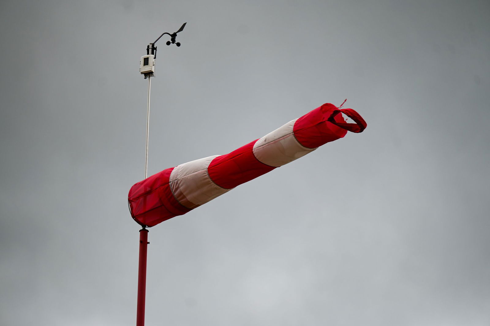 Wochenstart mit Wind, den wird es in Rheinland-Pfalz und dem Saarland geben. (Symbolbild)