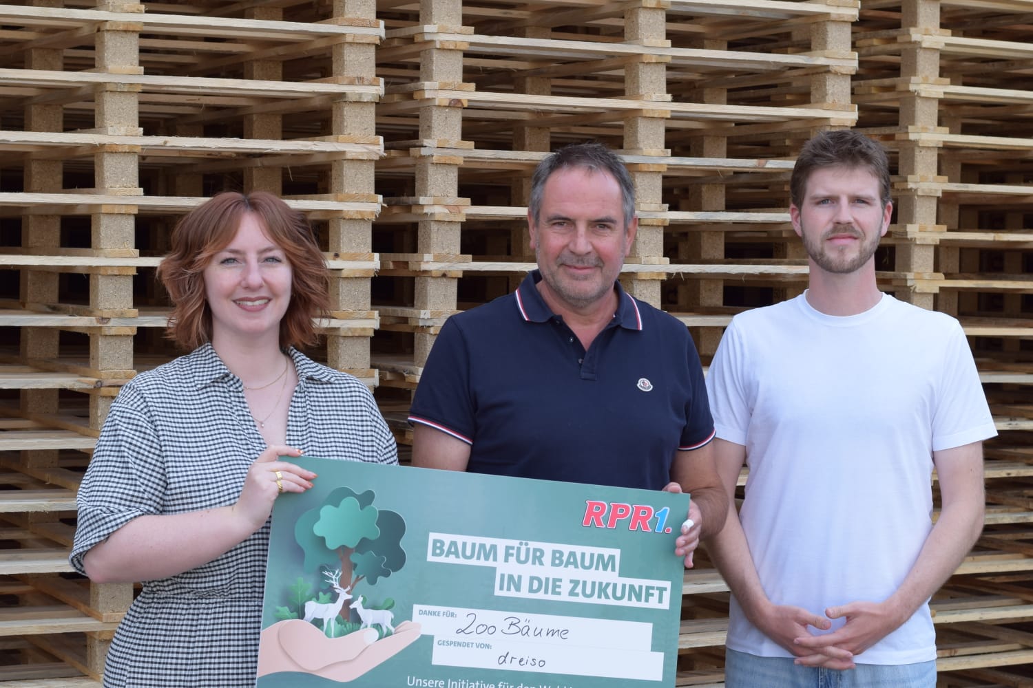 Baum für Baum Dreiso