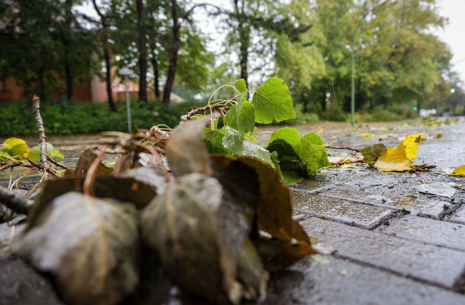 Das Wochenende wird nass und stürmisch.