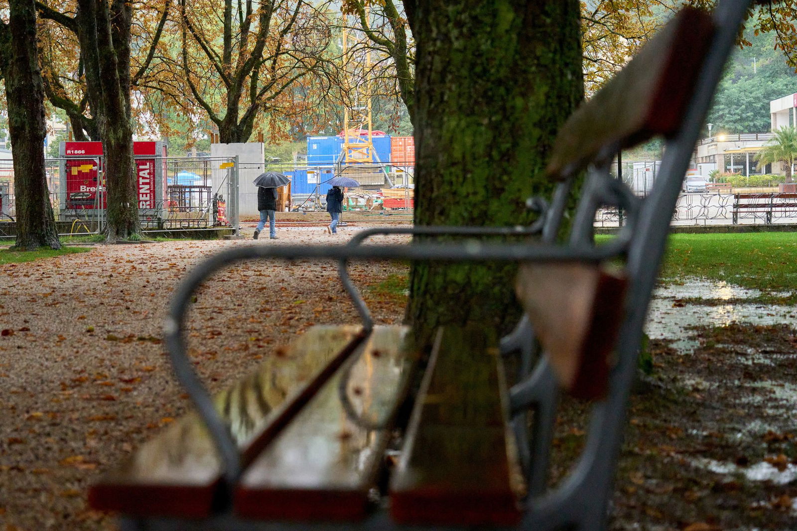 Tristes Herbstwetter erwartet die Menschen in Rheinland-Pfalz und im Saarland in den kommenden Tagen. (Archivbild)
