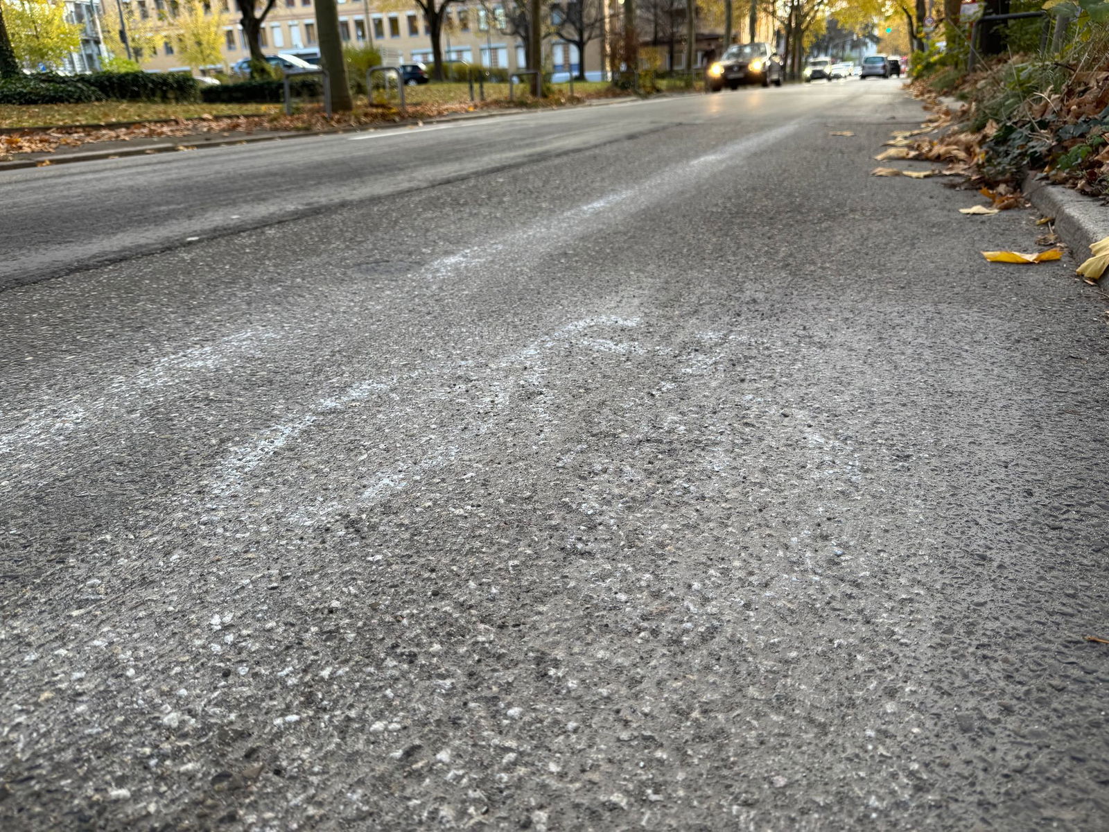 Aktivisten haben einen Fahrradweg auf die Straße gemalt.