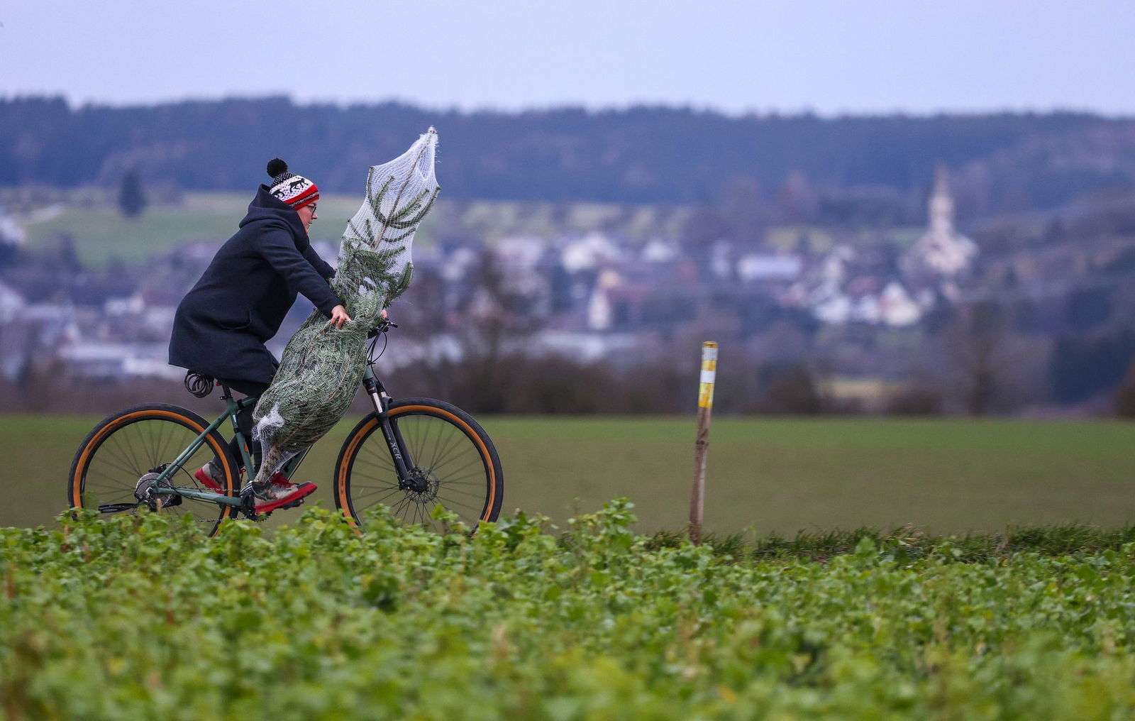 In gut einem Monat ist Weihnachten. Worauf muss man beim Christbaumkauf achten? (Archivbild)