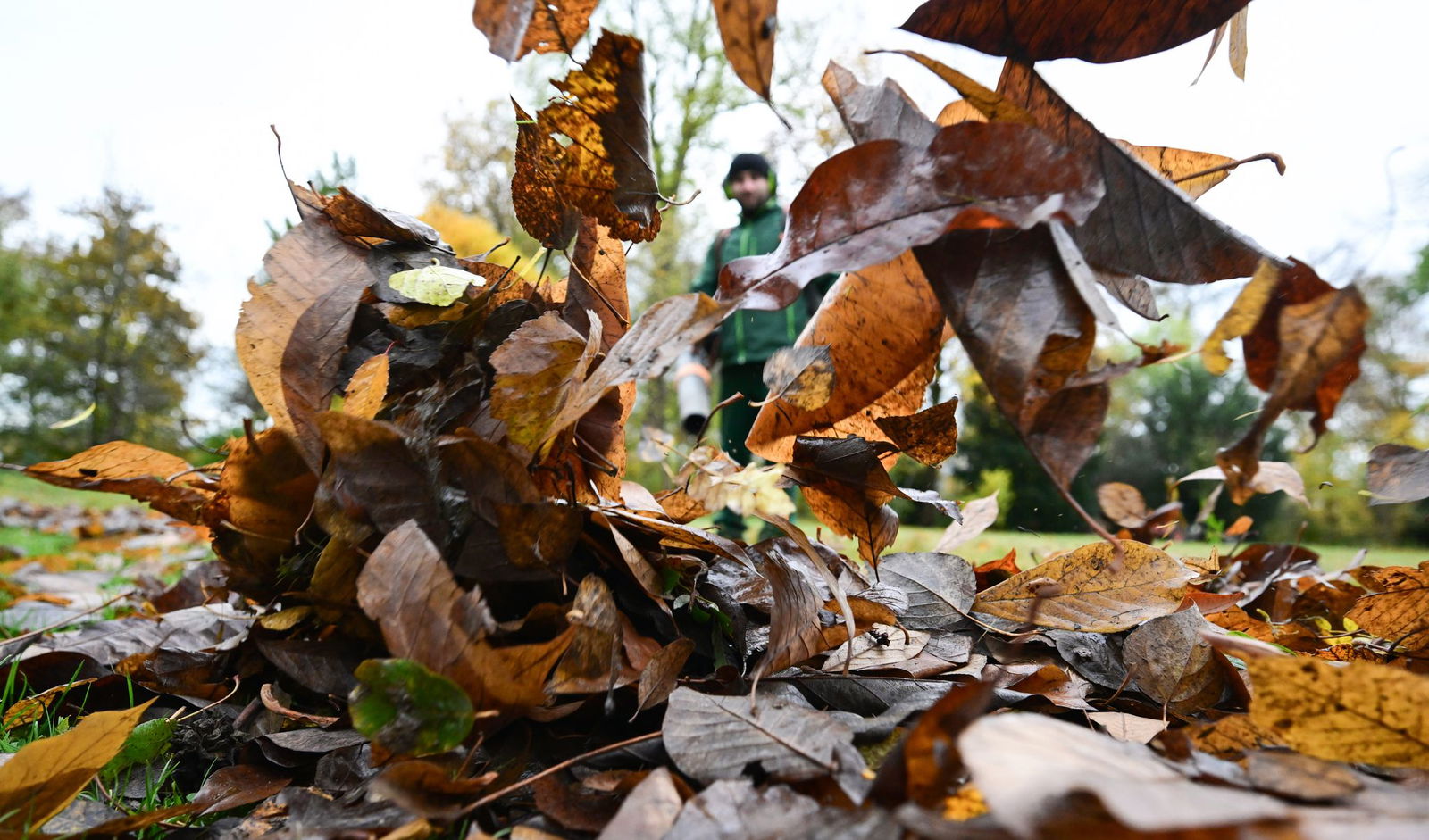 Warum liegt denn hier so viel Laub, mag sich mancher im Herbst fragen. (Symbolbild)