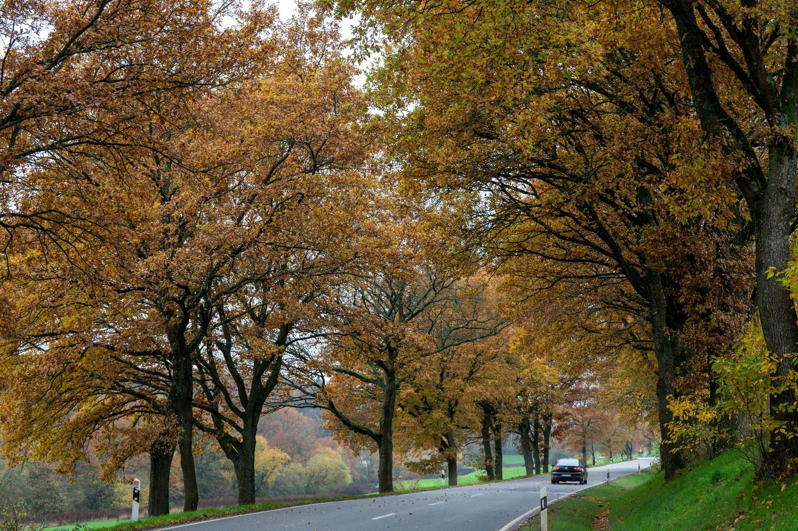 In Rheinland-Pfalz und im Saarland bleibt es zunächst freundlich und trocken. Doch zum Wochenende wird sich die Wetterlage ändern. (Symbolbild)