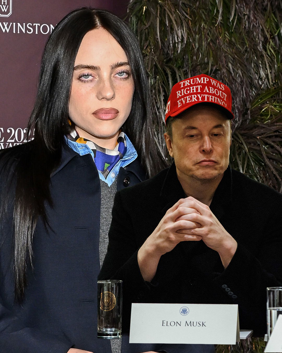 Billie Eilish x Elon Musk