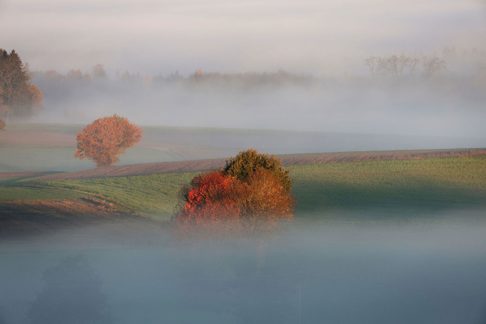 Der Nebel hält sich auch am Wochenende. (Archivbild) 