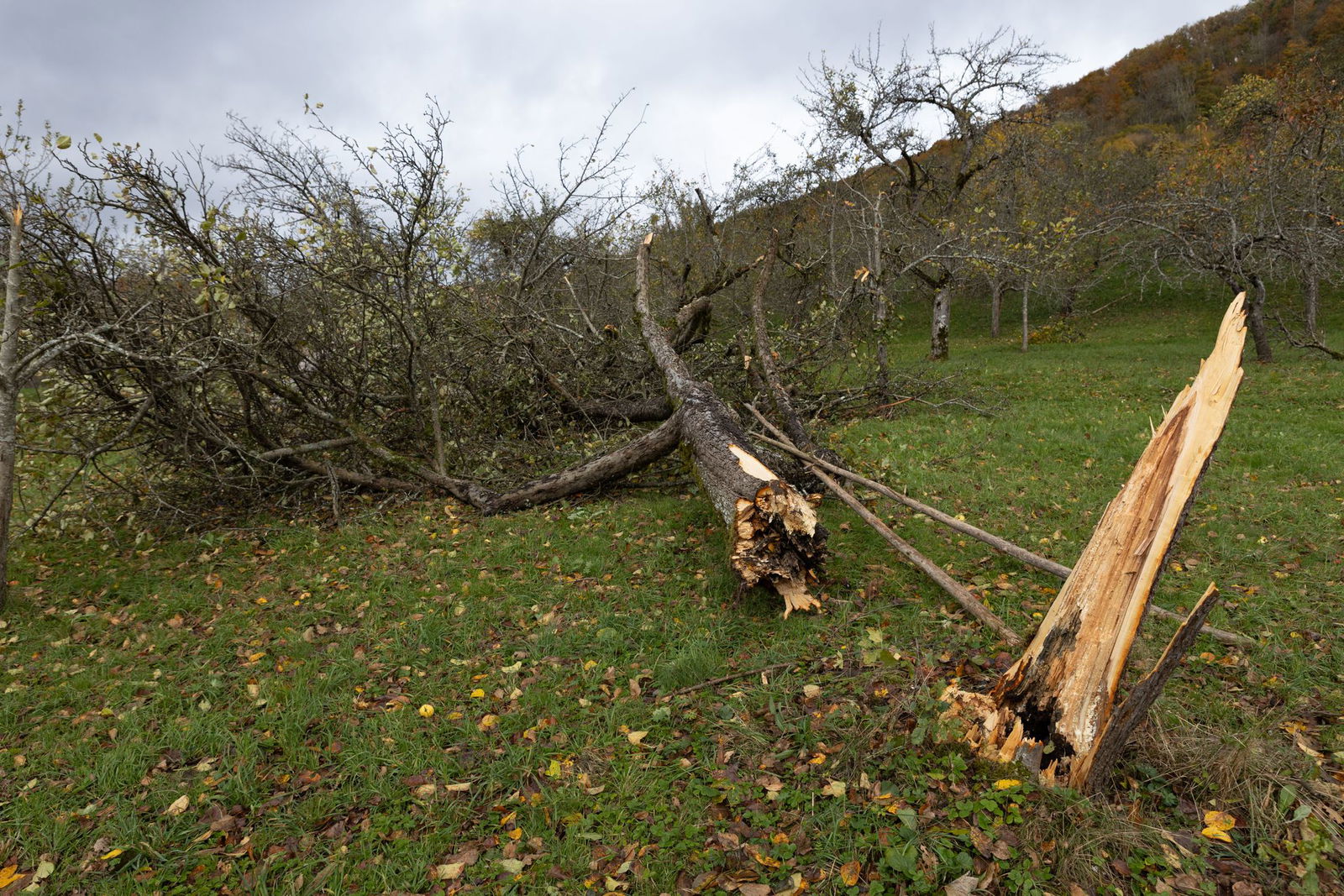 Ein Tornado ist über Sulzbach an der Murr gezogen. (Foto-Archiv)