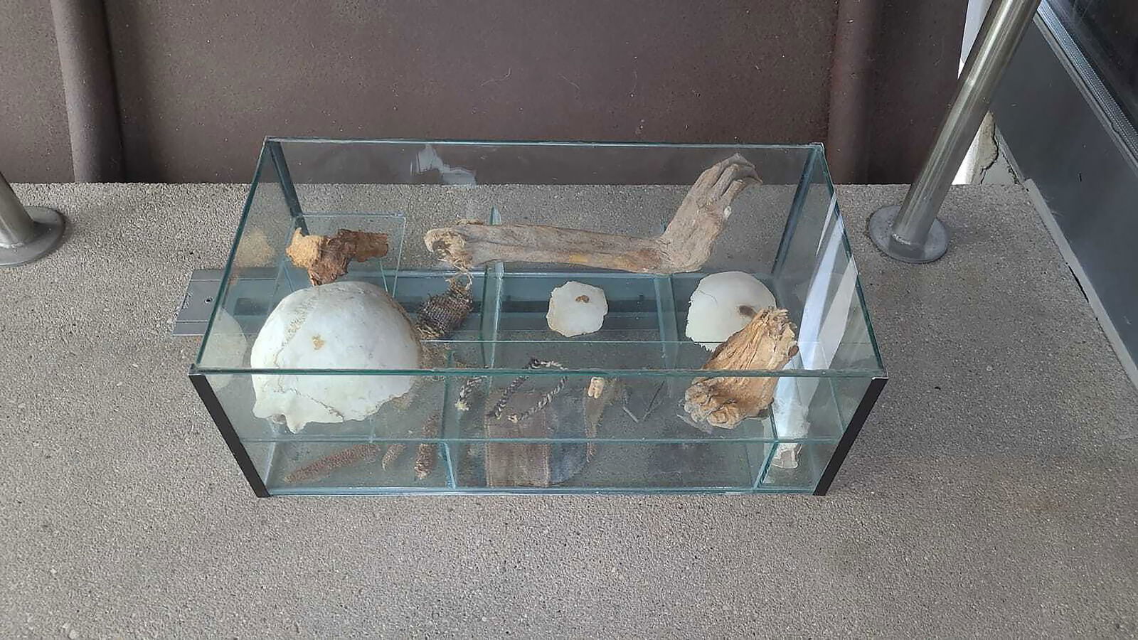 Die Staatsanwaltschaft entscheidet über den weiteren Verbleib der Vitrine und deren Inhalt. (Handoutbild)