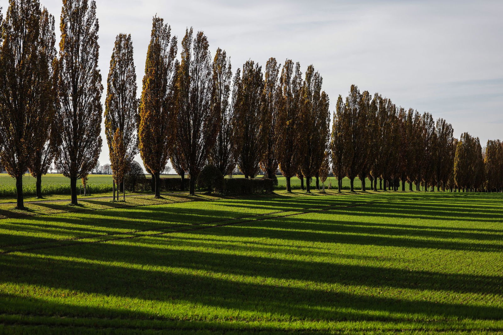 Nach den warmen Tagen wird es in Baden-Württemberg zum Wochenstart deutlich kühler. (Archivfoto)