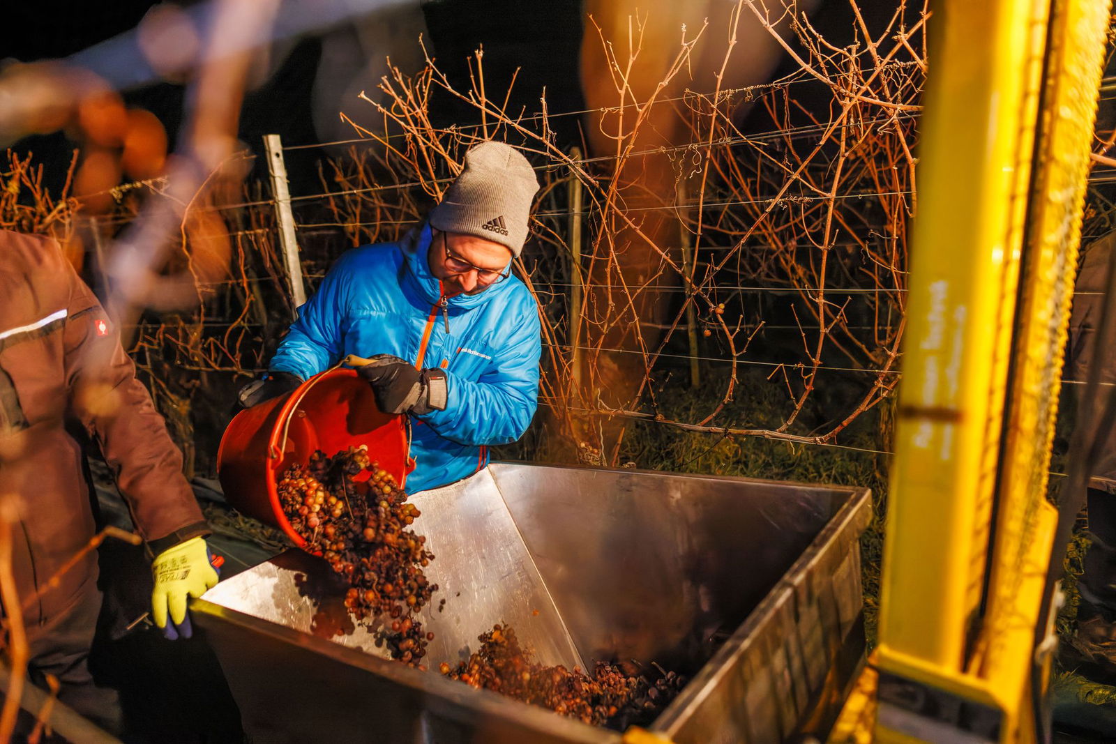 Winzer Philipp Kiefer hatte am Wochenende Erfolg. 