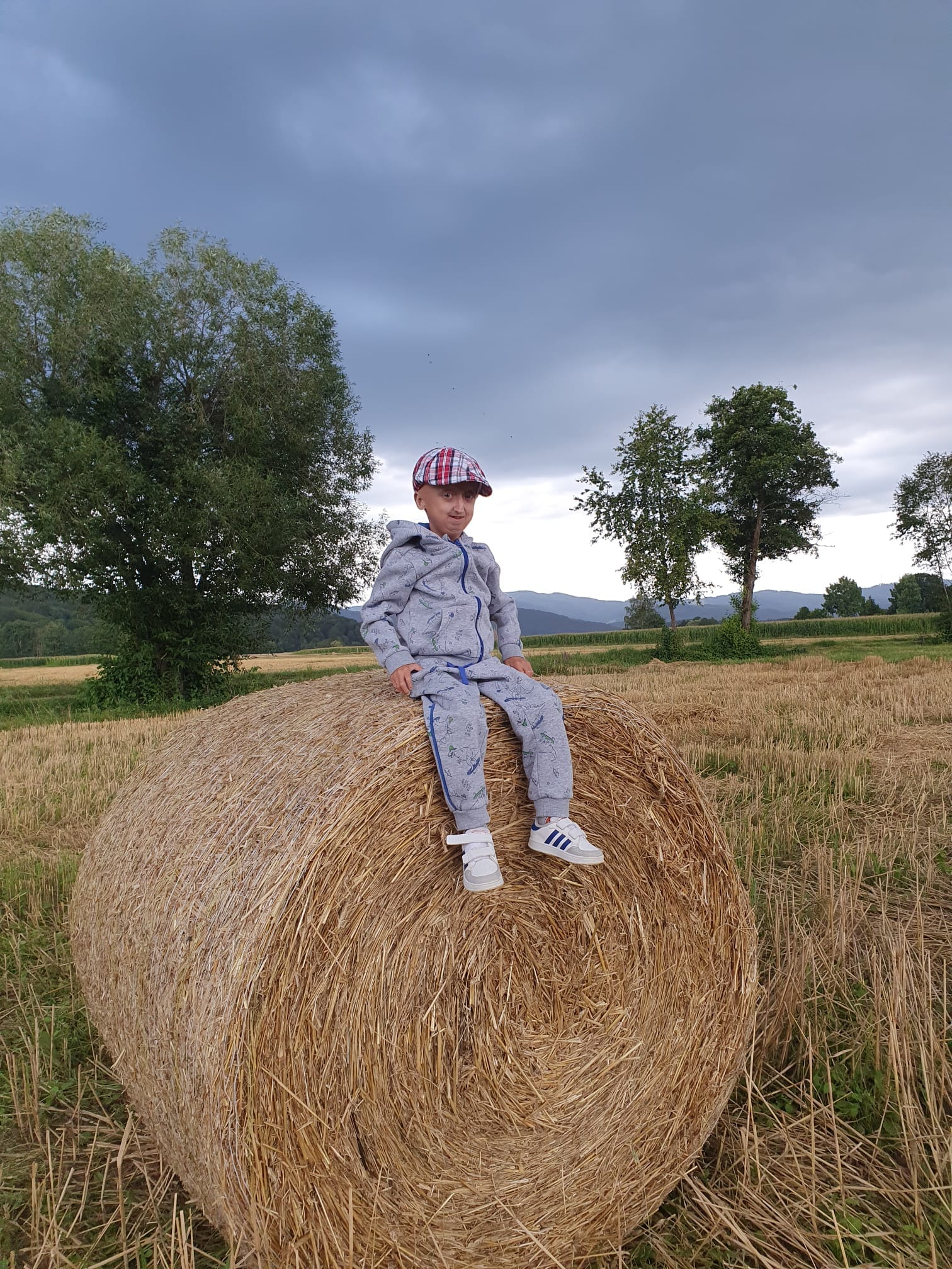 KuR Mischa auf einem Heuballen