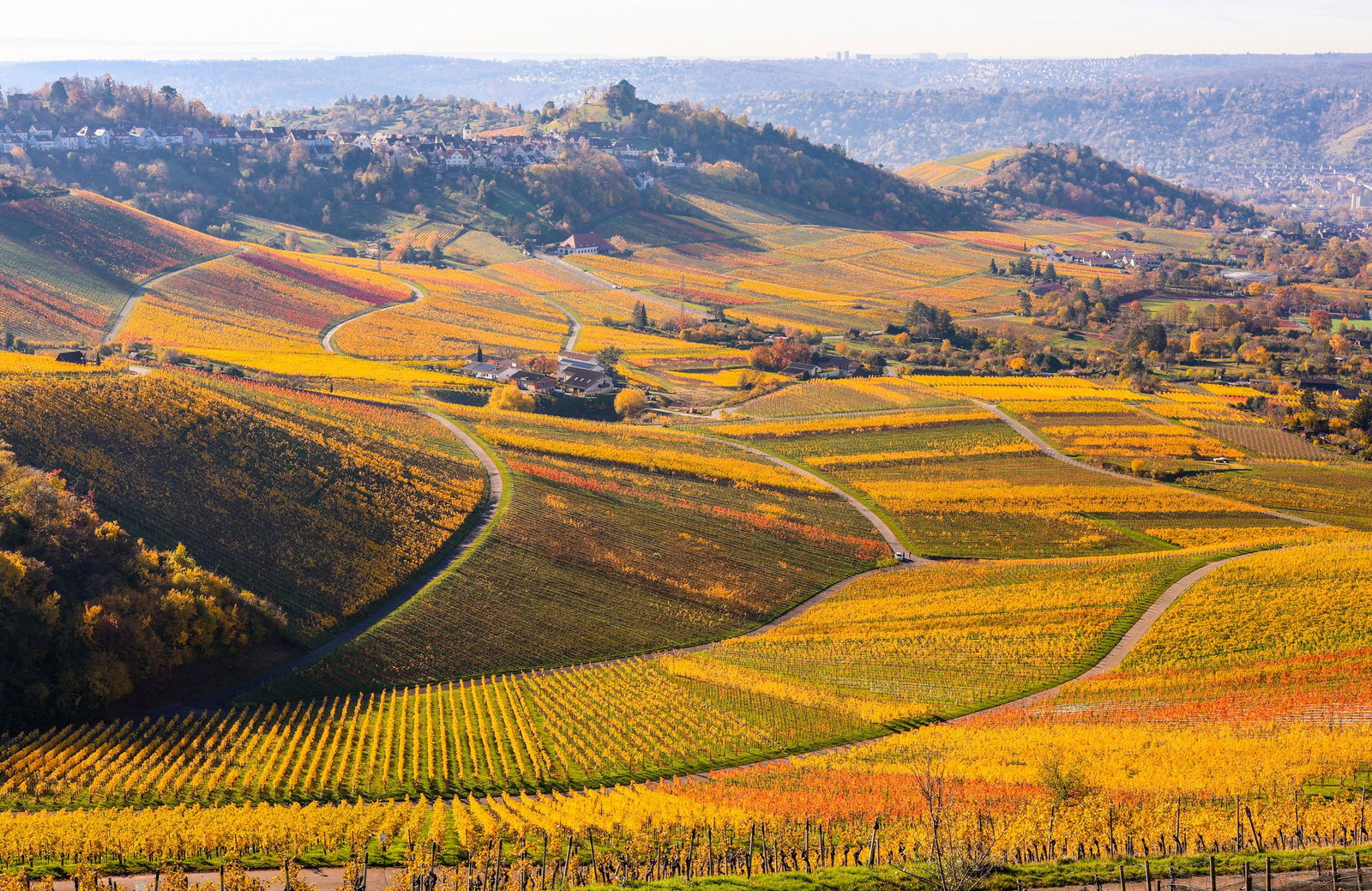Sonne auf den Weinbergen rund um den Kappel- und Rotenberg: Die Experten des Deutschen Wetterdienstes erwarten fast schon frühlingshafte Temperaturen. (Archivbild)