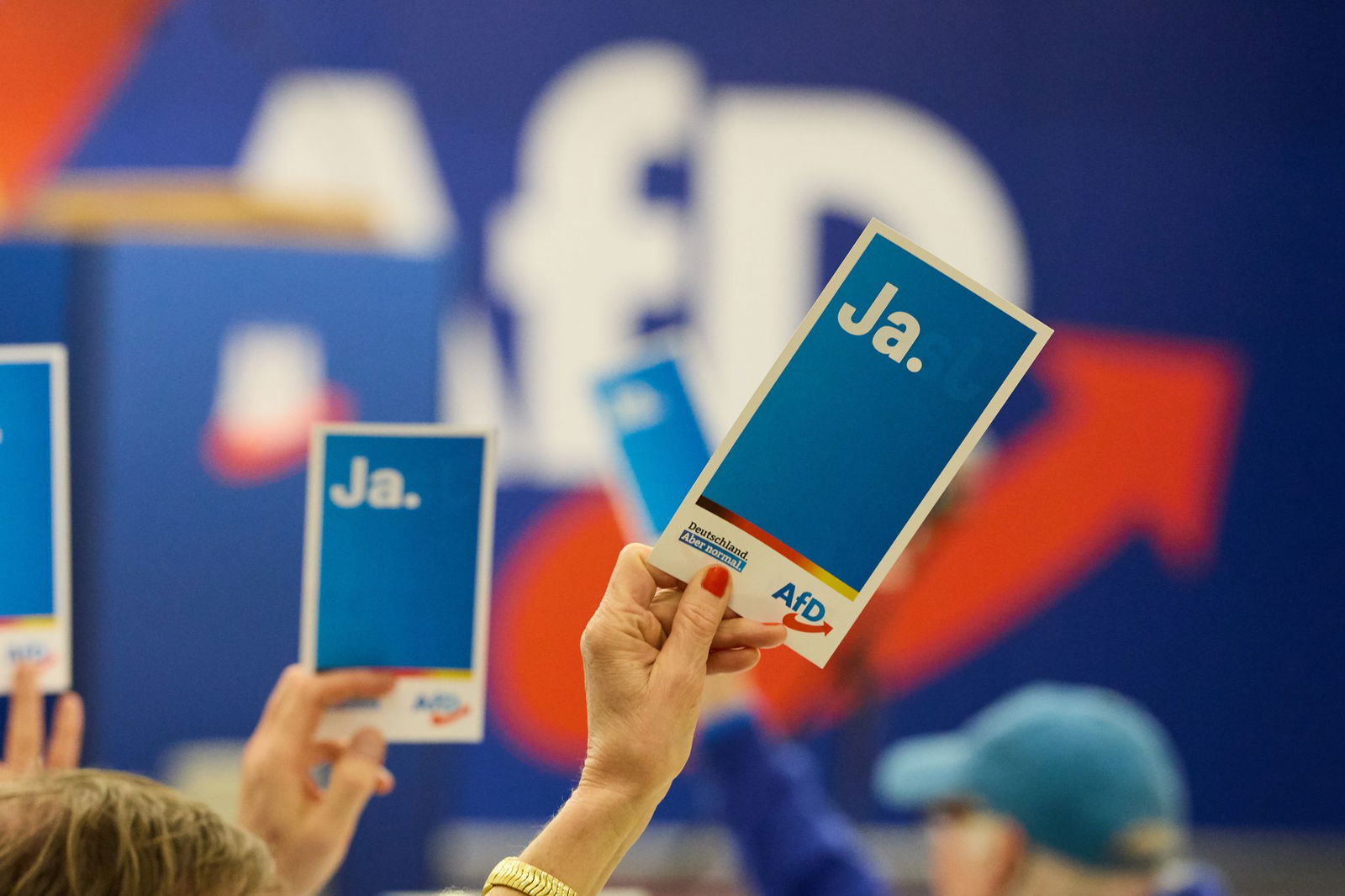 Die AfD will die Wähler auf der Metaebene ansprechen.