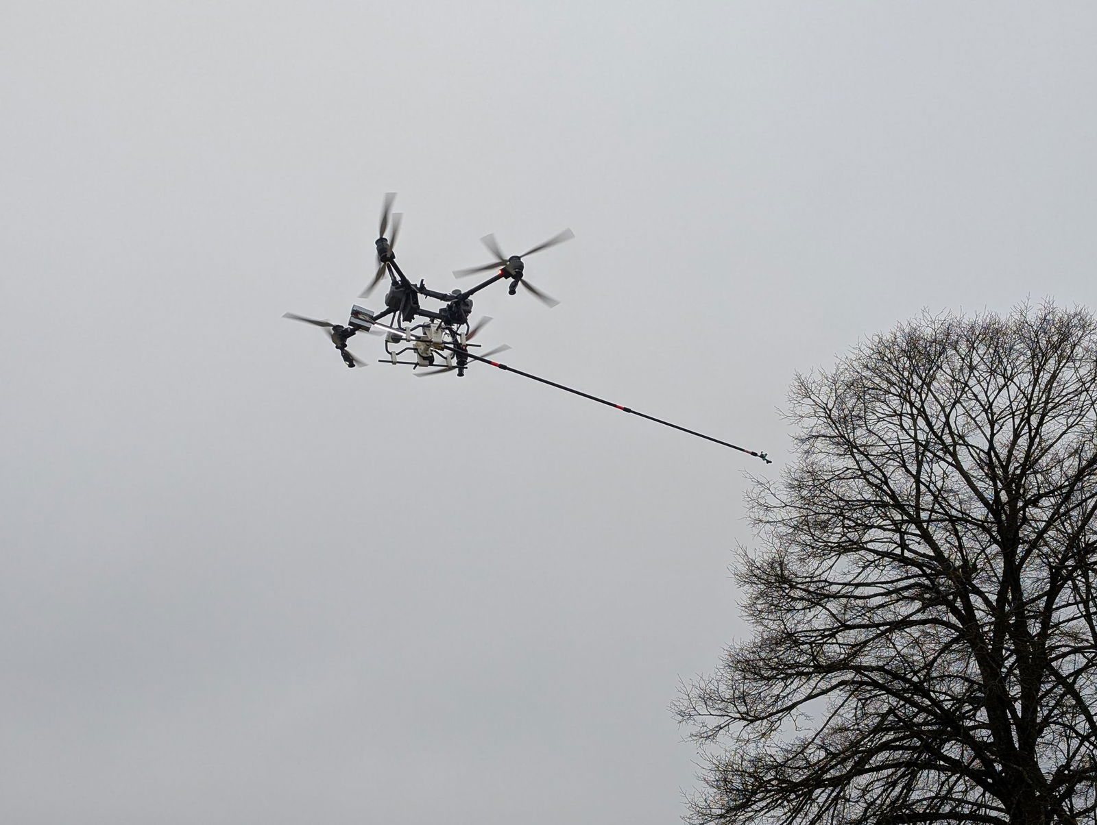 Der Kampf gegen den Kormoran kostet hunderttausende Euro. (Archivbild) 