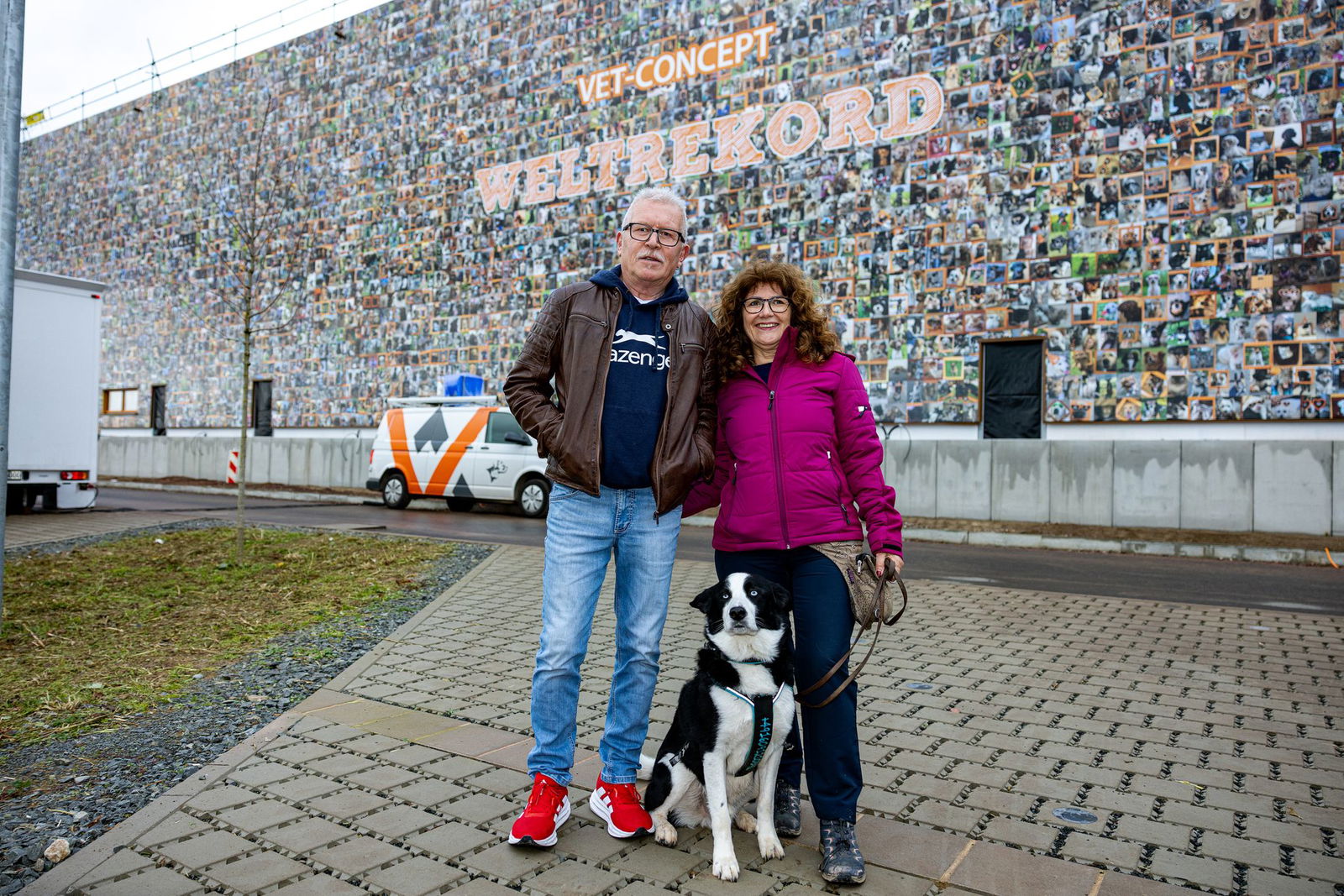 Australian-Shepherd-Mix Lenny ist eines der 8.000 Tiere. 