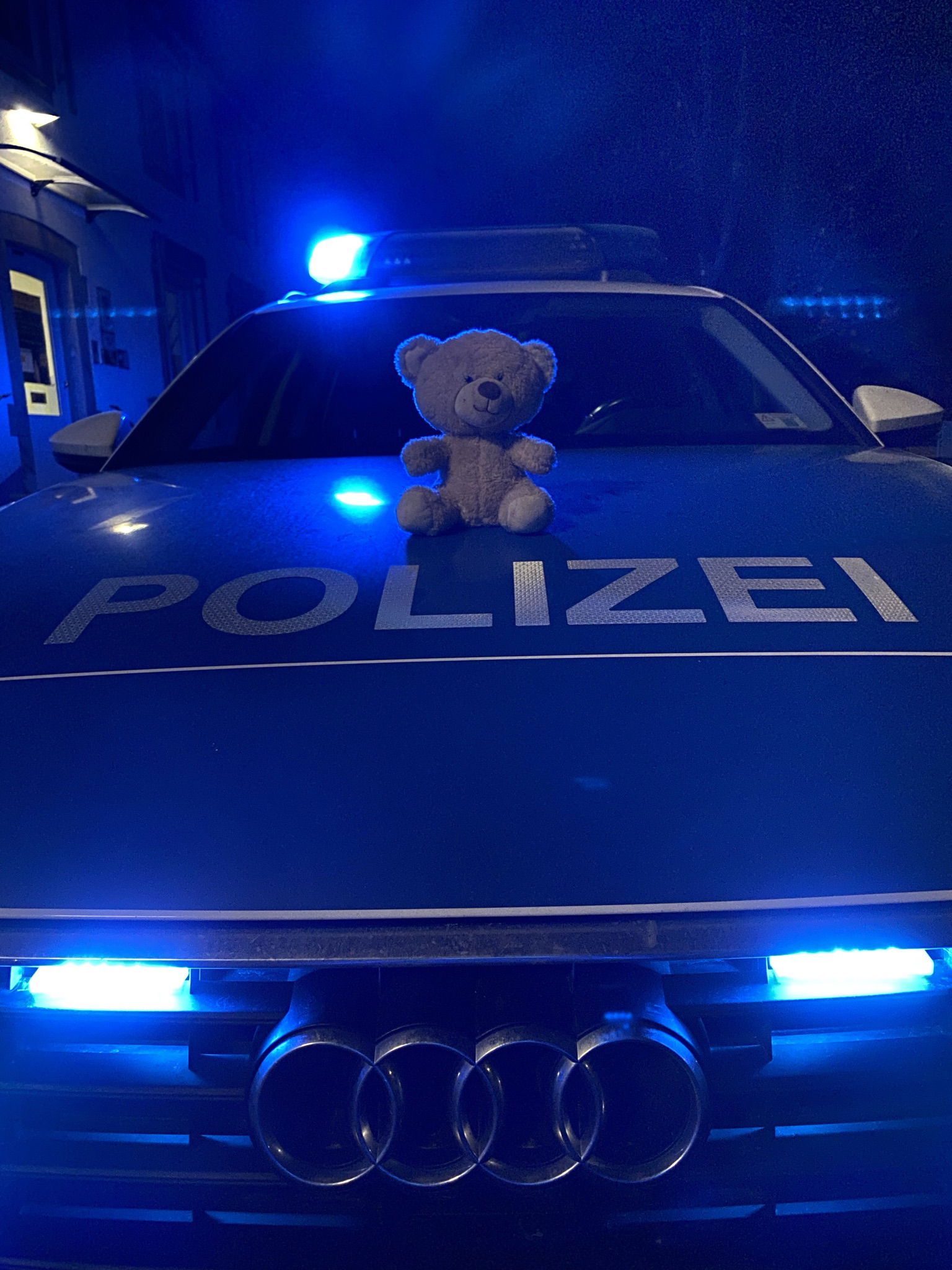 Teddy auf Polizeiauto