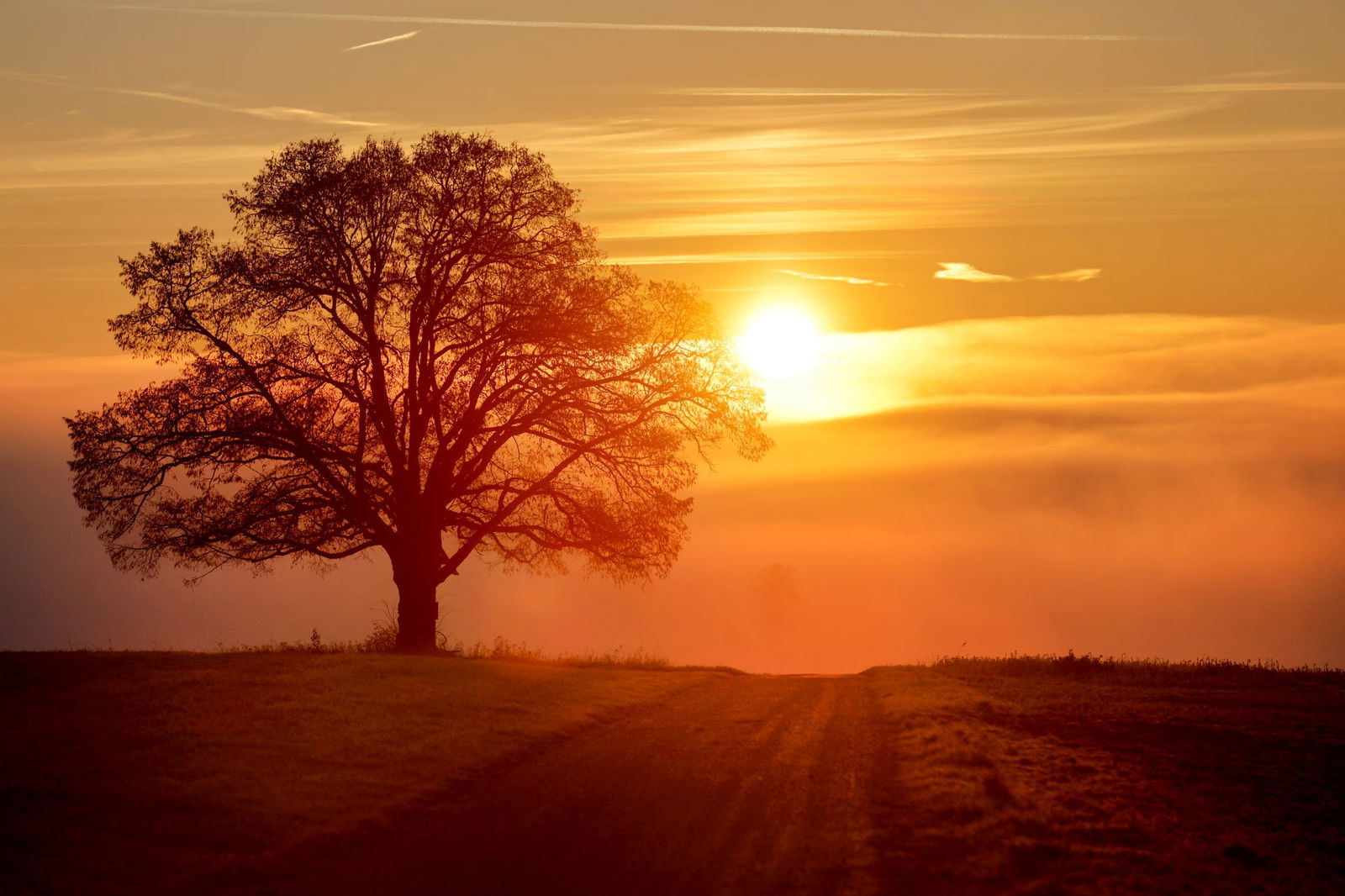In höheren Lagen kann sich auch die Sonne zeigen.